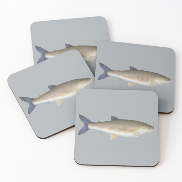 Item preview, Round Whitefish designed and sold by fishfolkart.