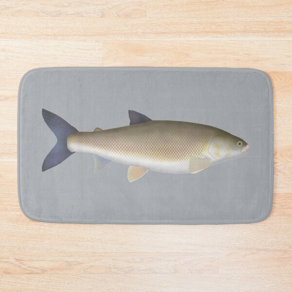 Item preview, Round Whitefish designed and sold by fishfolkart.