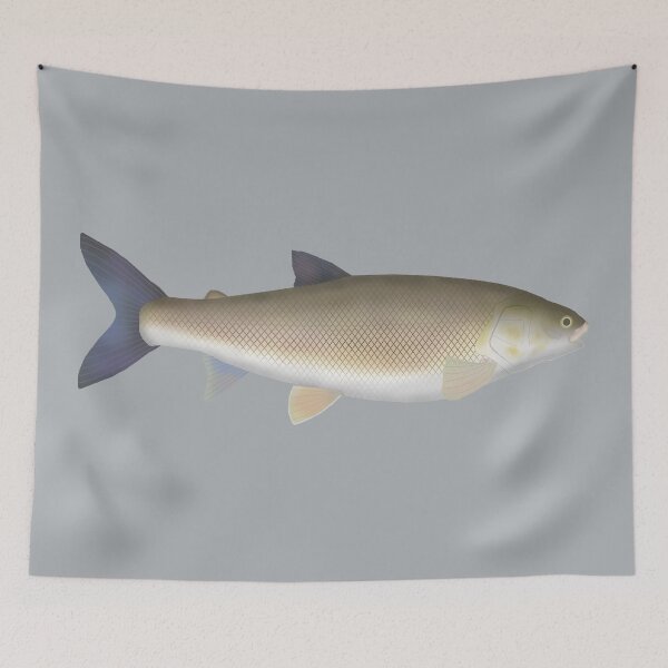 Item preview, Round Whitefish designed and sold by fishfolkart.