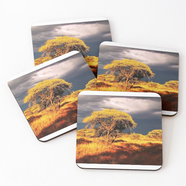 Item preview, Beautiful African Storm Photo designed and sold by JaneFlowersAfrica.