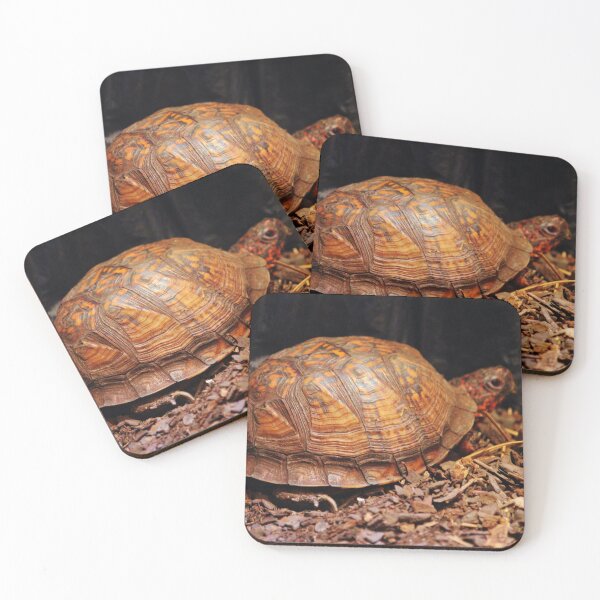 Item preview, Beautiful Turtle designed and sold by Cynthia48.