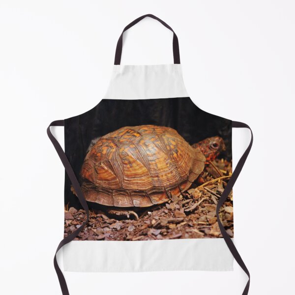 Item preview, Beautiful Turtle designed and sold by Cynthia48.