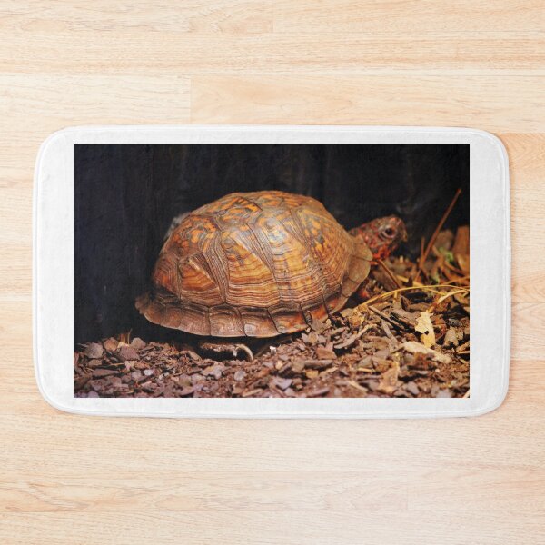 Item preview, Beautiful Turtle designed and sold by Cynthia48.