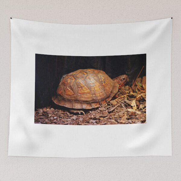 Item preview, Beautiful Turtle designed and sold by Cynthia48.