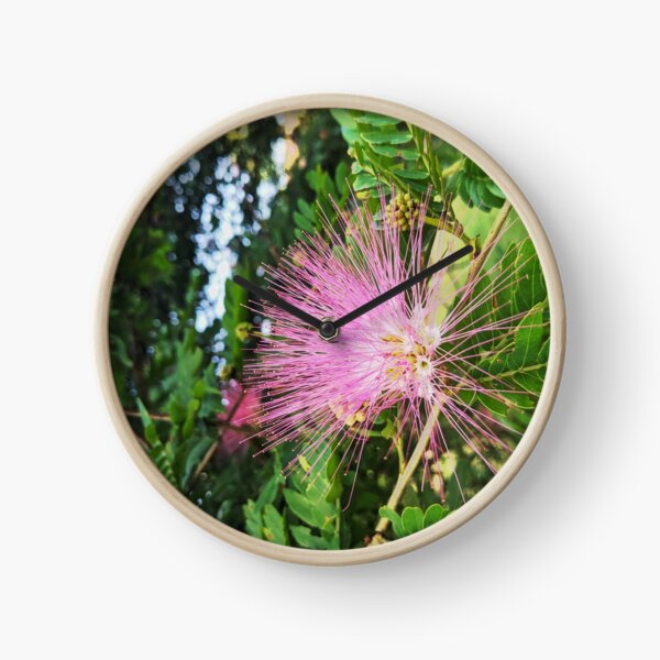 Mimosa Clocks Redbubble