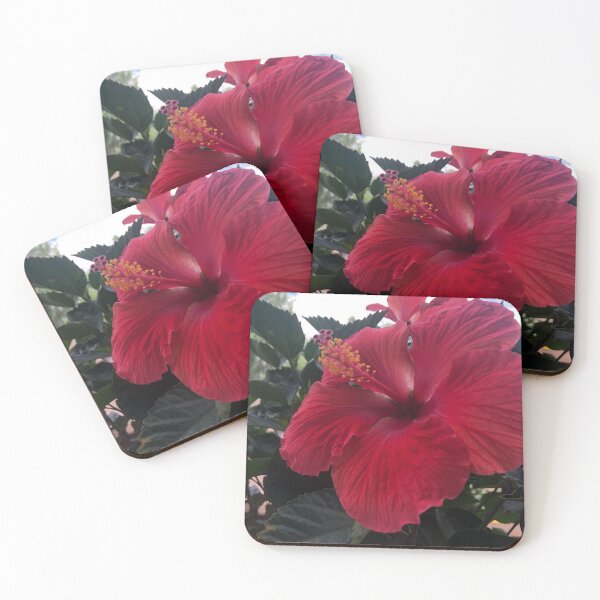 Item preview, Hibiscus Daydreams designed and sold by rwartbyrw.