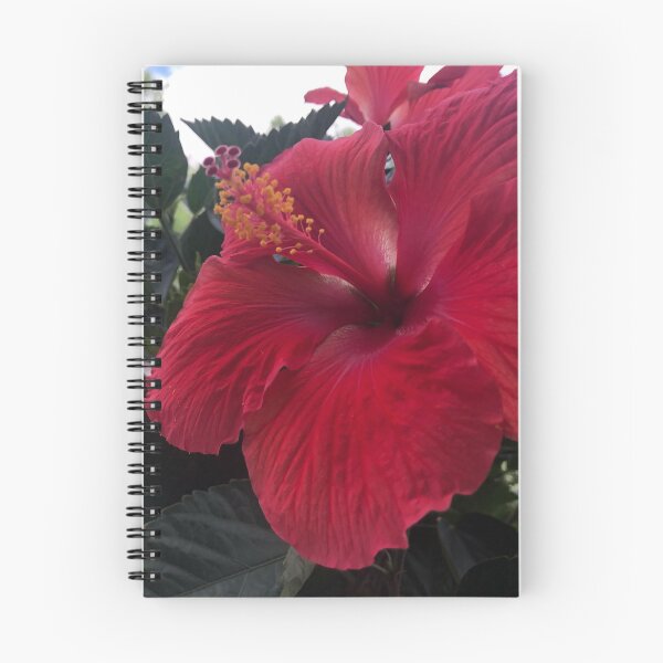 Item preview, Hibiscus Daydreams designed and sold by rwartbyrw.