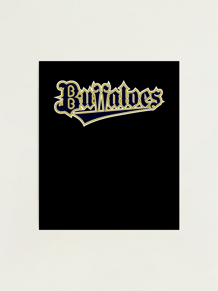 その他 Orix Buffaloes Orix Buffaloes