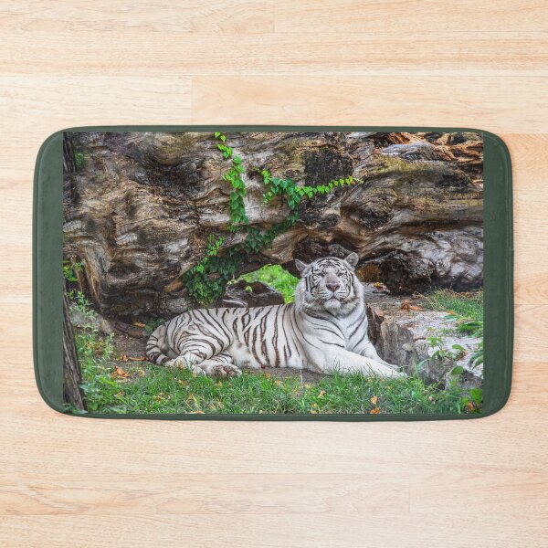 Item preview, Serbia. Belgrade. Zoo. His Majesty White Tiger. designed and sold by vadim19.