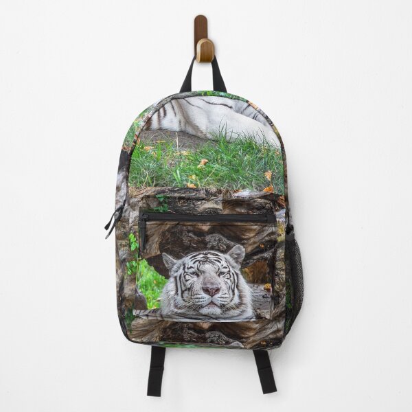 Item preview, Serbia. Belgrade. Zoo. His Majesty White Tiger. designed and sold by vadim19.
