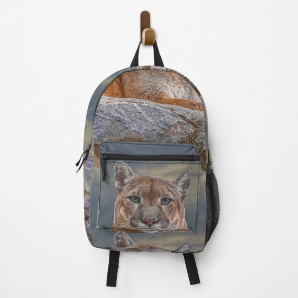 Item preview, Serbia. Belgrade. Zoo. Puma. (I have my eyes on you). designed and sold by vadim19.