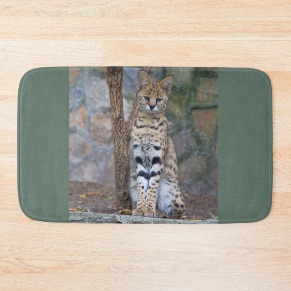 Item preview, Serbia. Belgrade. Zoo. Serval. designed and sold by vadim19.
