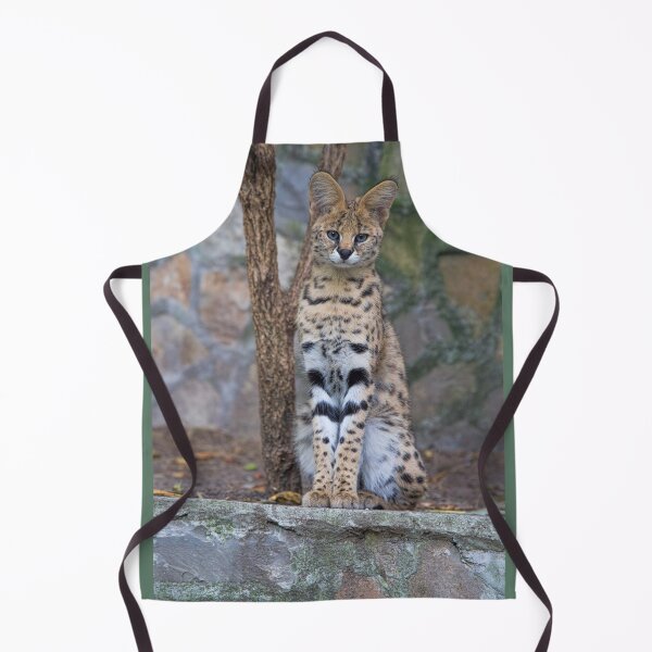 Item preview, Serbia. Belgrade. Zoo. Serval. designed and sold by vadim19.