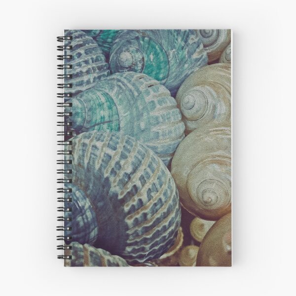 Item preview, Shells designed and sold by beland.