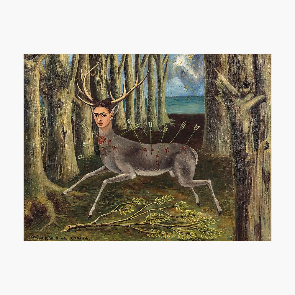 frida the wounded deer