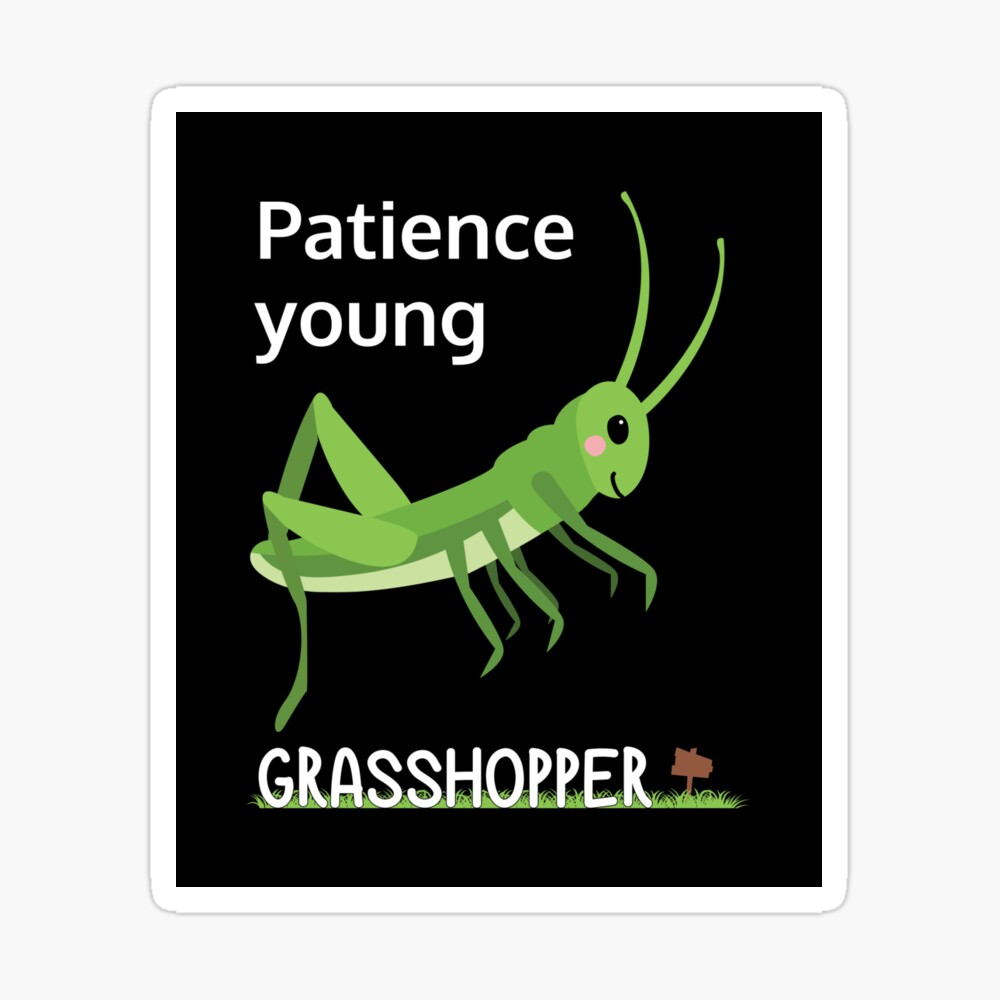 Patience young grasshopper - Plant-eating insect with long legs