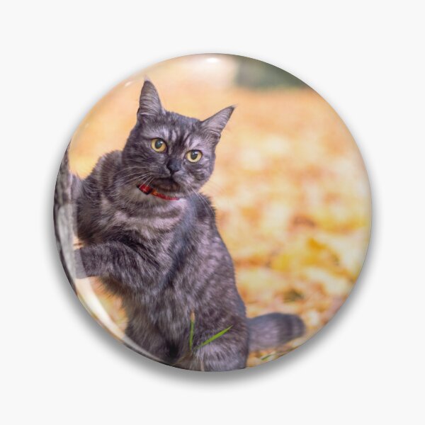Item preview, grey cat in autumn by a tree designed and sold by Pokofoto.