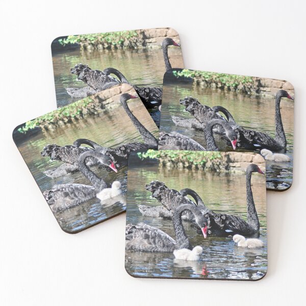 Item preview, Black Swans and Cygnets designed and sold by rosiephotos.