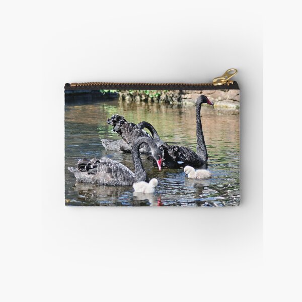 Item preview, Black Swans and Cygnets designed and sold by rosiephotos.
