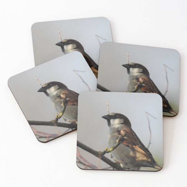 Item preview, Mr sparrow on a branch designed and sold by Gaynor-dI.