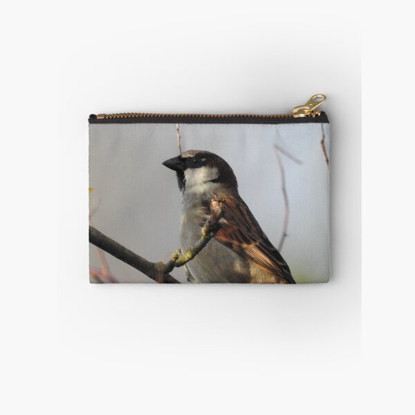 Item preview, Mr sparrow on a branch designed and sold by Gaynor-dI.