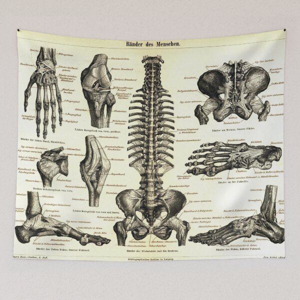 Item preview, human skeleton designed and sold by 42youbest.