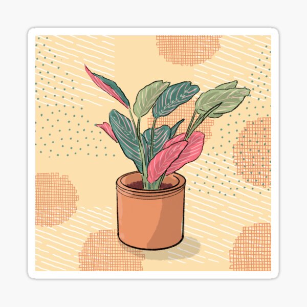 Maranta leuconeura tricolor - crazy plant person Sticker