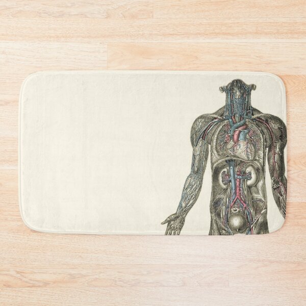 Item preview,  human heart and vascular structure designed and sold by 42youbest.