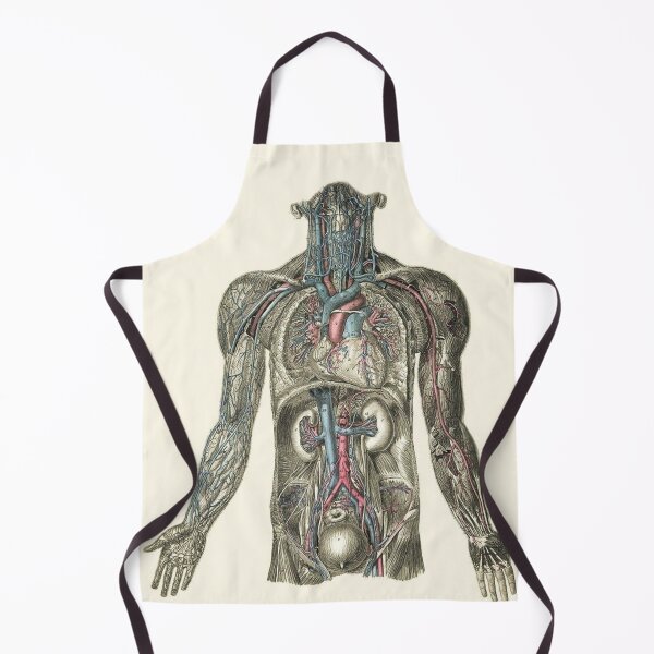 Item preview, human heart and vascular structure designed and sold by 42youbest.
