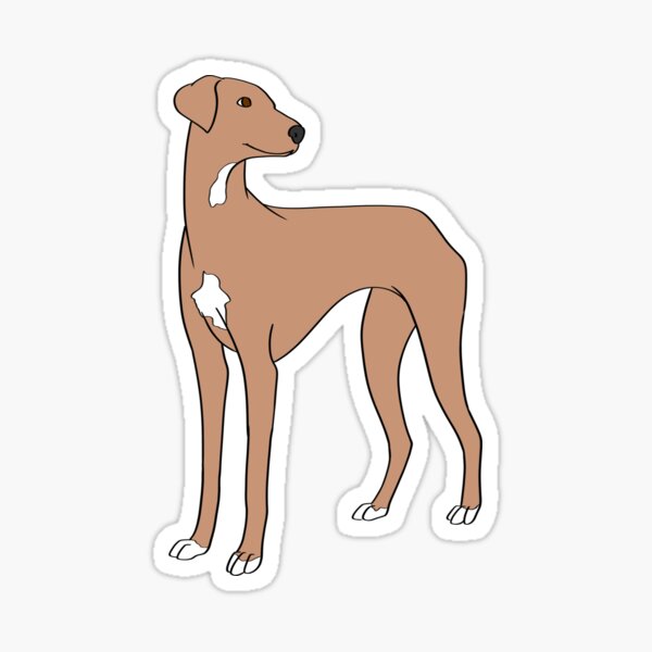 Azawakh silhouette dog sticker