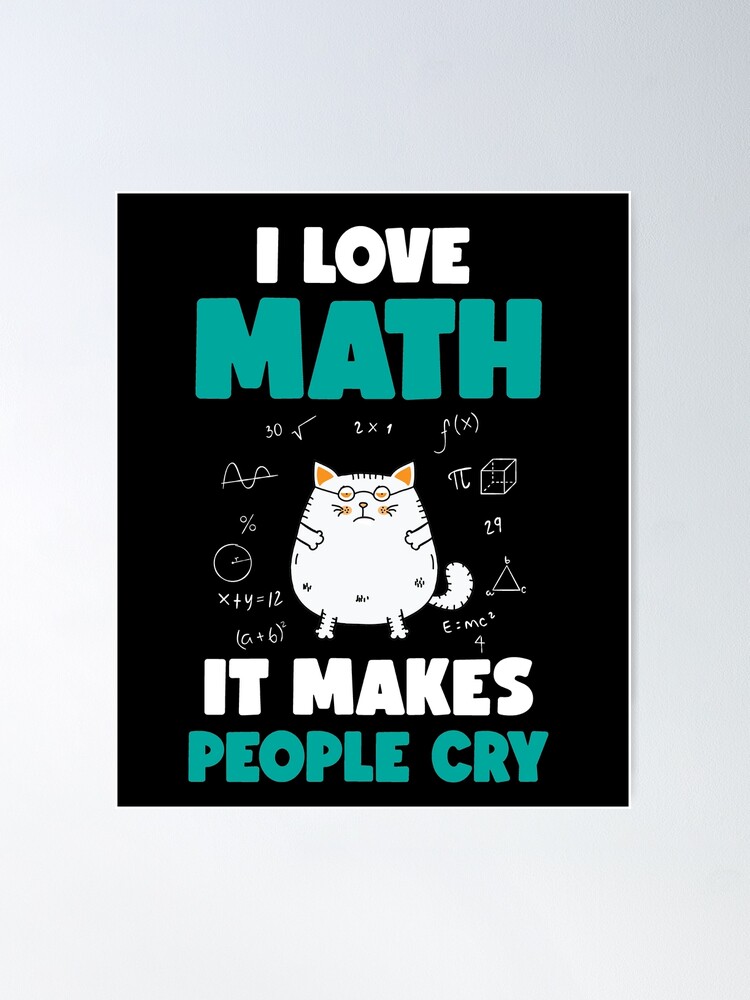 80 Funny And Inspirational Math Quotes For Students