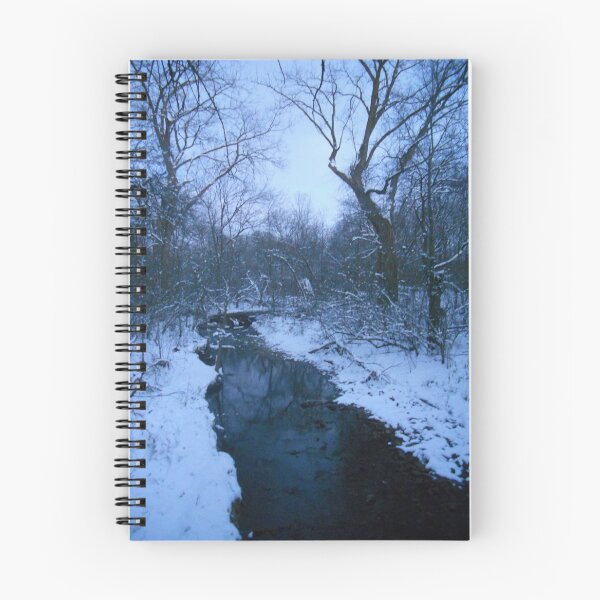 Item preview, Winter Twilight at the Creek--Eastward  designed and sold by MarjorieB.