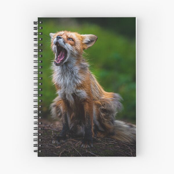 Item preview, Talking Fox designed and sold by reinah.