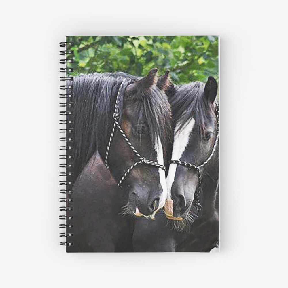 Axl and eddie Spiral Notebook