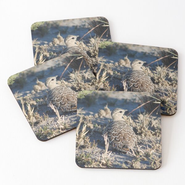 Item preview, Nestling Bird designed and sold by justbmac.