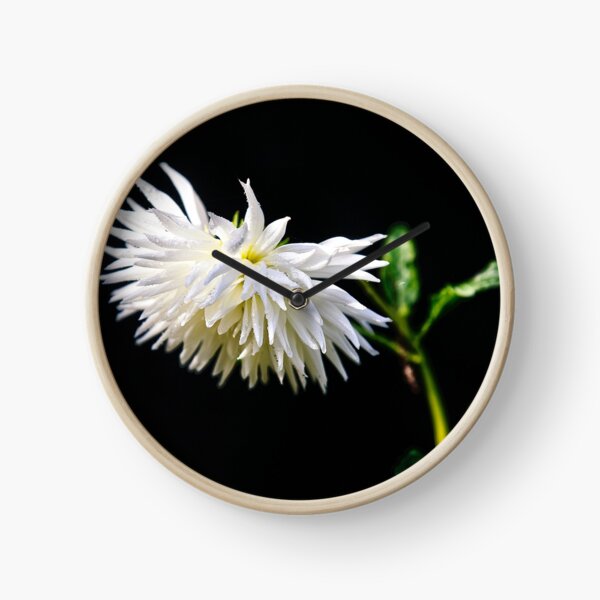 White flower Clock