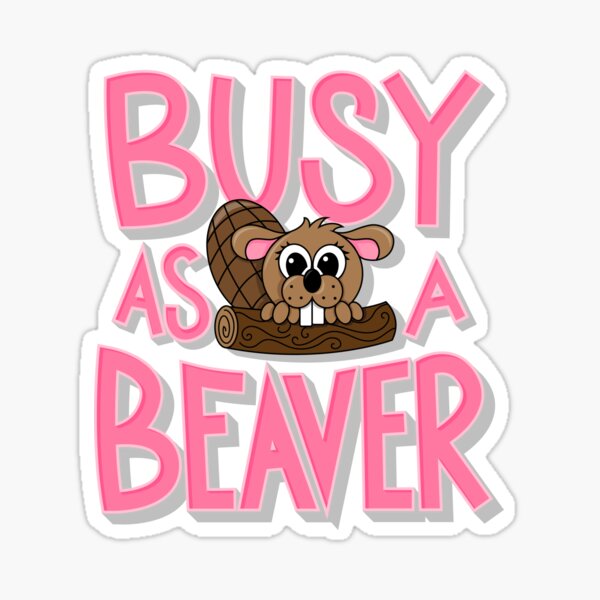 "Busy as a Beaver" Sticker for Sale by KristenRozema Redbubble
