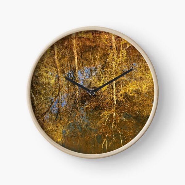 Reflection of trees in the river Clock