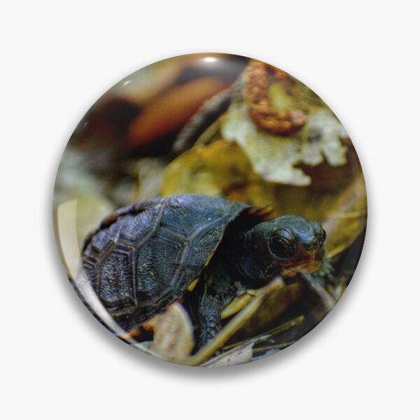 Item preview, The Little Turtle who Could designed and sold by JungleMark.