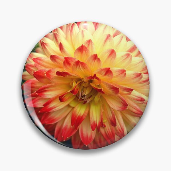 Item preview, Orange Flower designed and sold by MrRainbowArt.