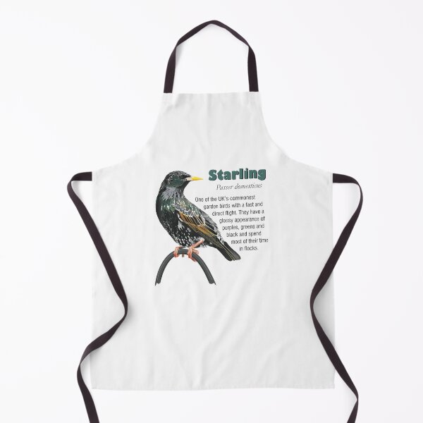 Item preview, Starling - Garden Bird designed and sold by BijouArt.