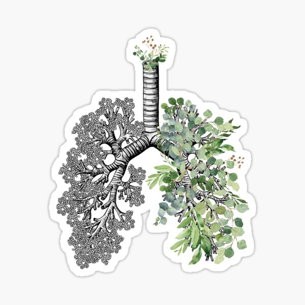 Aperçu de l'œuvre sensibilisation au cancer du poumon, feuilles aquarelle anatomie humaine créée et vendue par Collagedream.