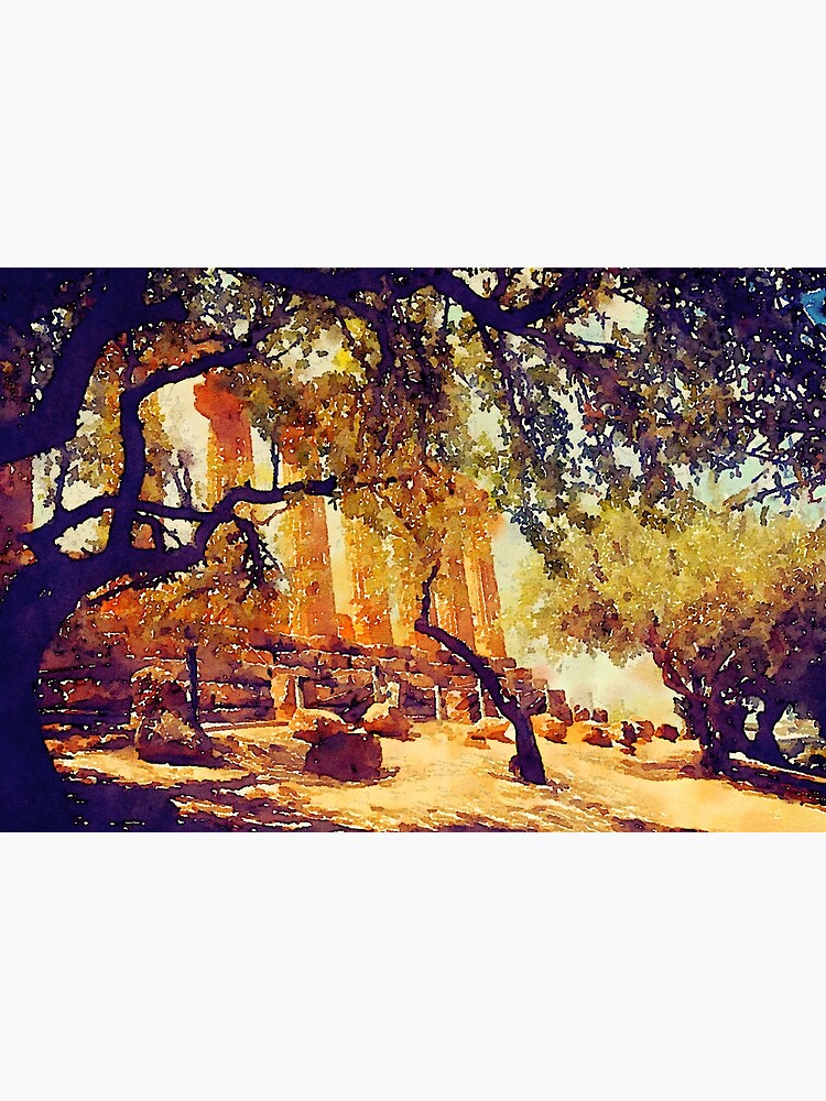 Temple and Olive Trees, Agrigento, Sicily by douglasewelch