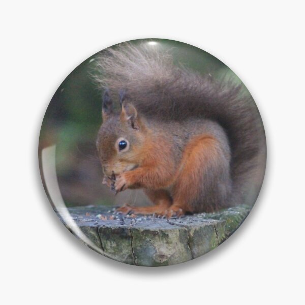 Item preview, red squirrel designed and sold by CallyM.