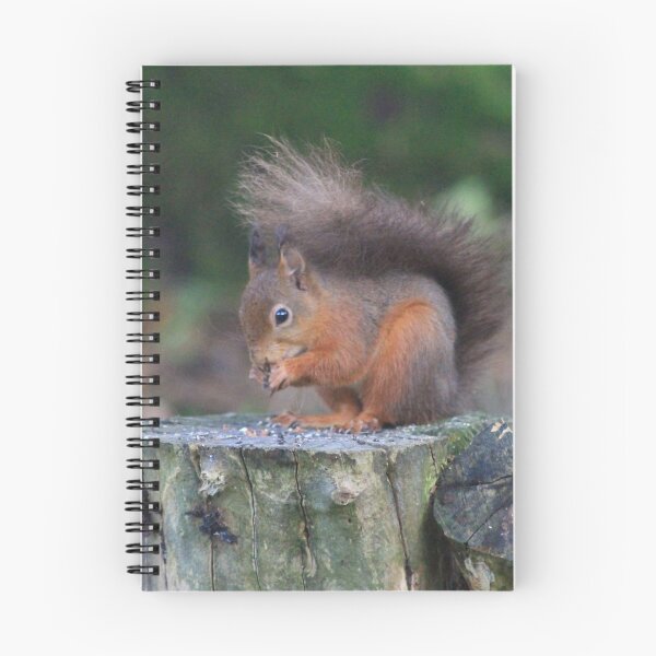 Item preview, red squirrel designed and sold by CallyM.