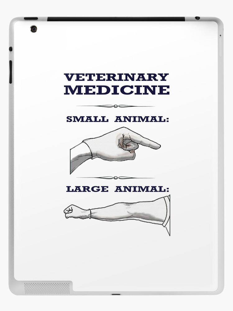 Veterinary Medicine - Large vs. Small Animal