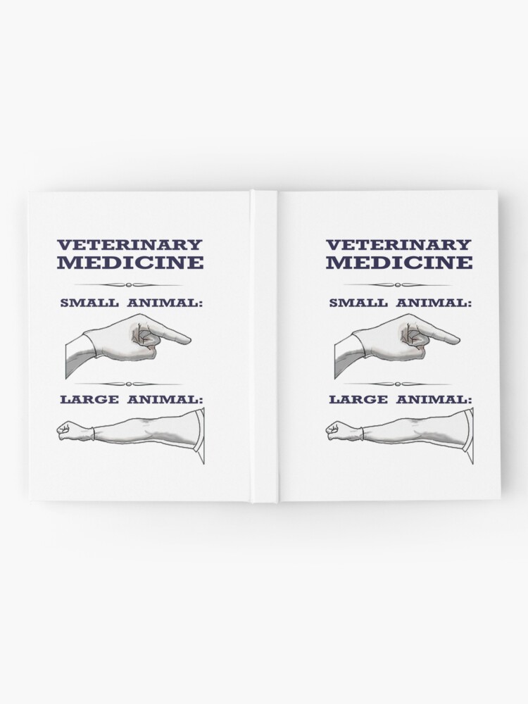 Veterinary Medicine - Large vs. Small Animal