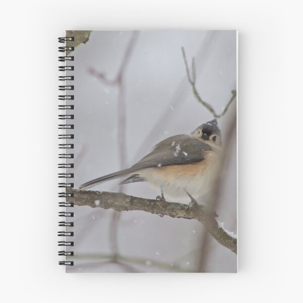 Item preview, One-Eyed Birdy Photograph designed and sold by Pineappledear.