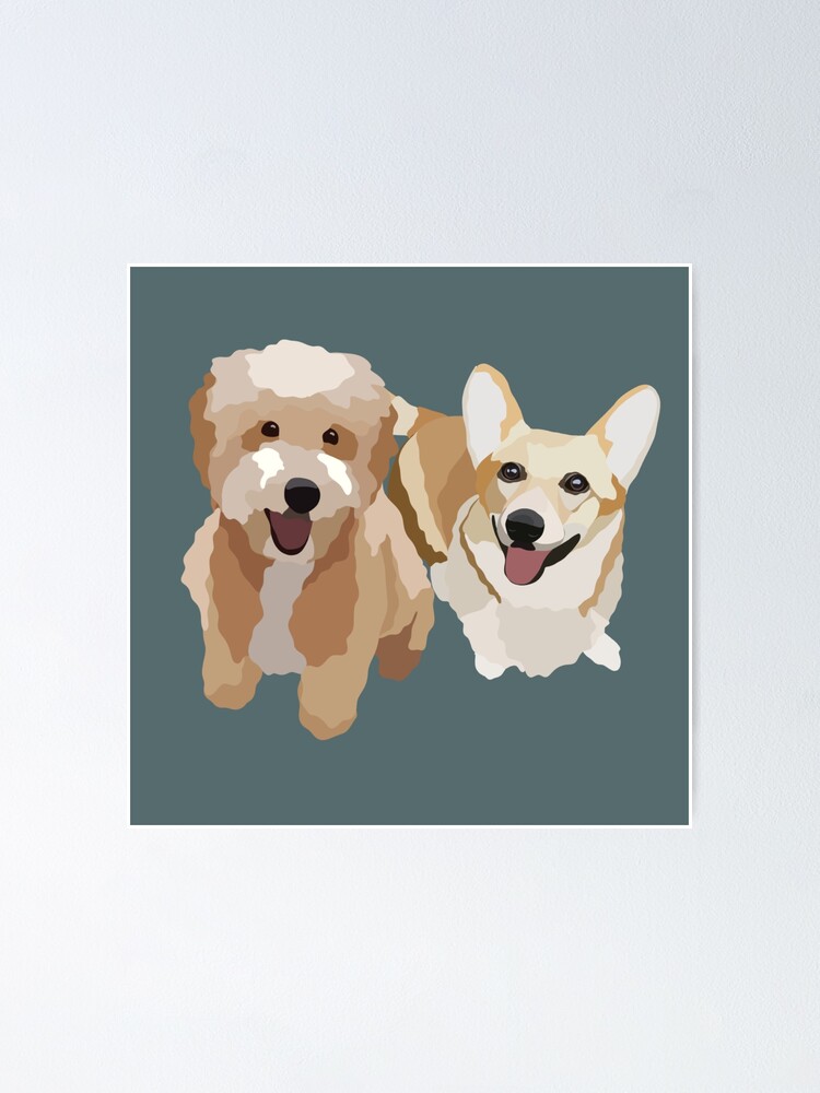 Goldendoodle corgi clearance