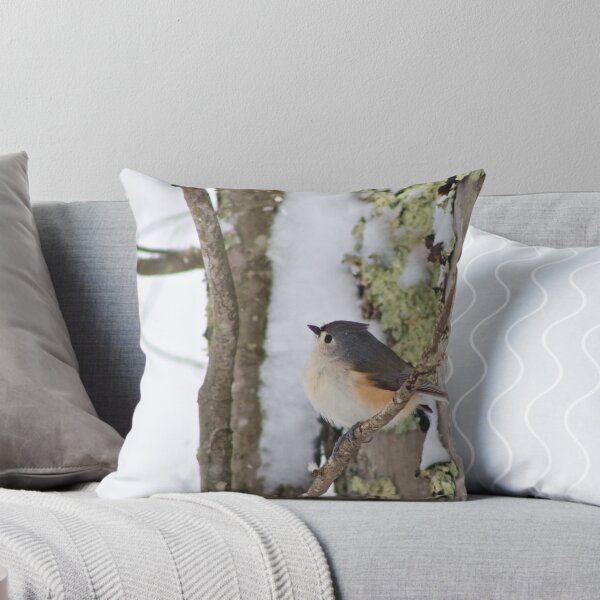 Artikelvorschau, Kleiner Schnee Birdy Fotografie entworfen und verkauft von Pineappledear.